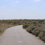 Veelvuldig gebruik fietspaden bij Monster en Ter Heijde door auto’s