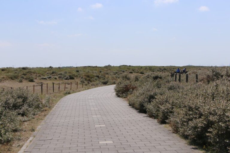 Veelvuldig gebruik fietspaden bij Monster en Ter Heijde door auto’s