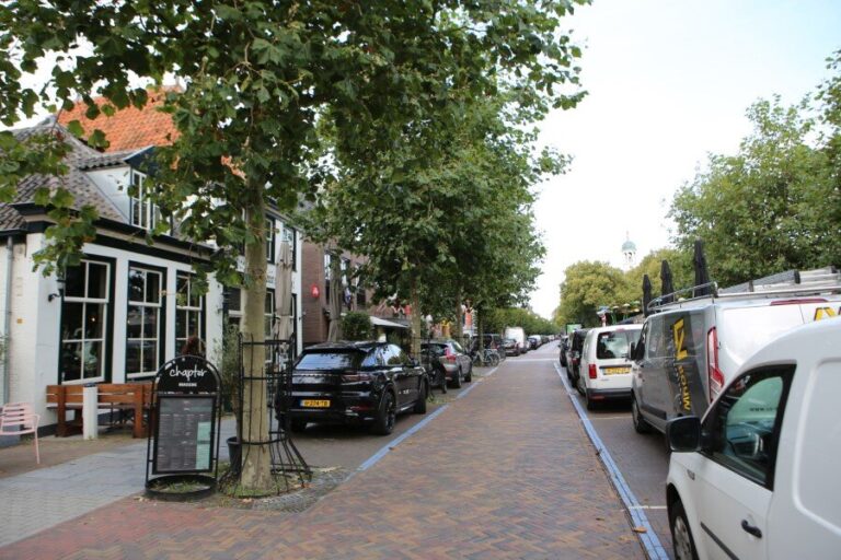 Vele irritaties in centrum ‘s-Gravenzande door (brom) fietsers