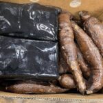 Douane onderschept ruim 200 kilo cocaïne
