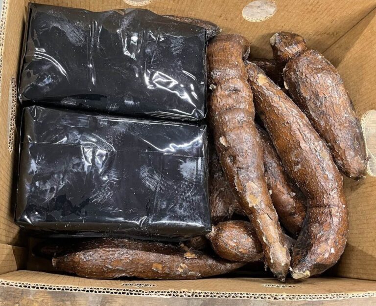 Douane onderschept ruim 200 kilo cocaïne