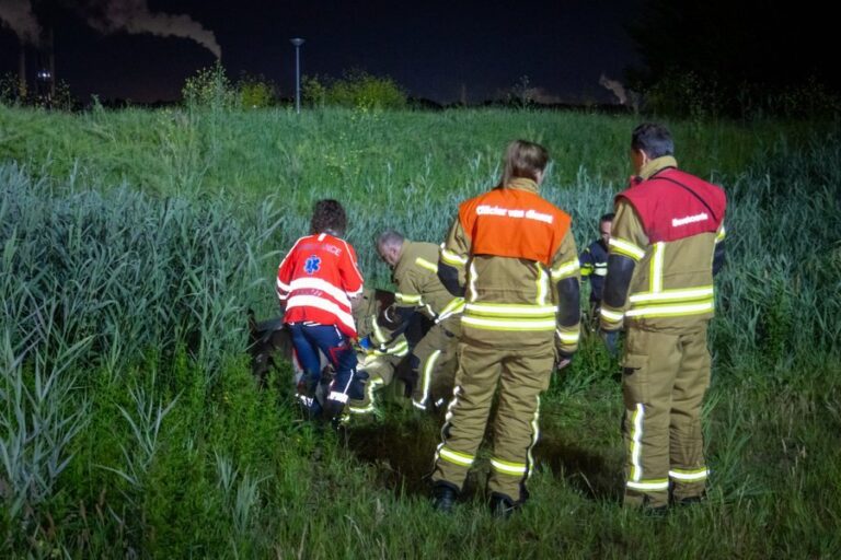 Man ernstig gewond na ongeluk Maassluissedijk