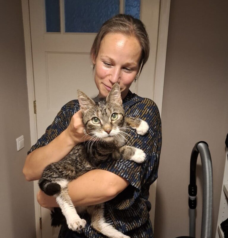 Vermiste kat na 14 jaar herenigd met eigenaar