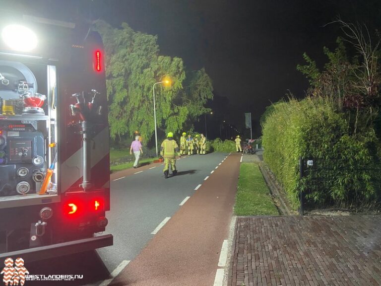 Groeneweg versperd door treurwilg